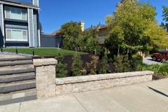 pleasanton-patio-paver-contractor