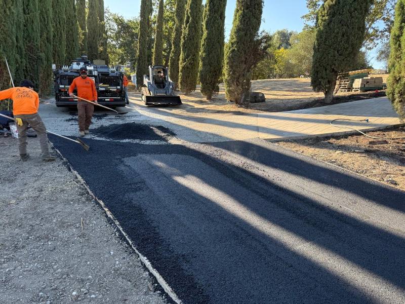 Workers in orange shirts lay fresh asphalt next to tall cypress trees on a sunny day, as a paver contractor prepares the area for interlocking paving.