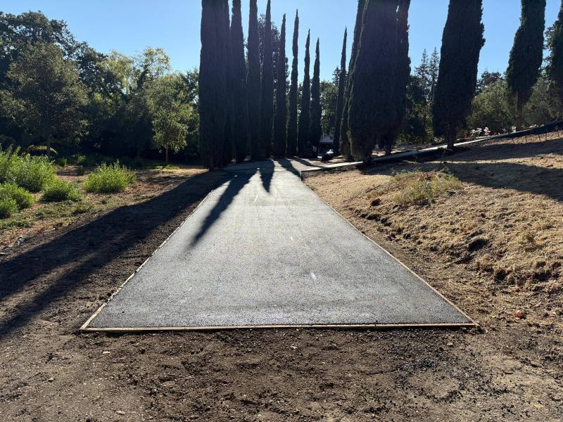 A newly paved path with interlocking paving lined with tall trees on a sunny day, casting long shadows across the walkway.